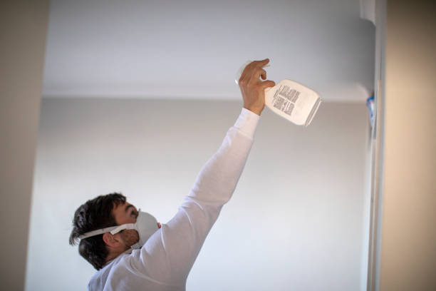 Best Preventive Mold Services in Bensville, MD