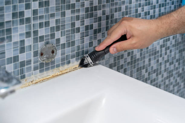 Best Mold Remediation for Schools in Bensville, MD